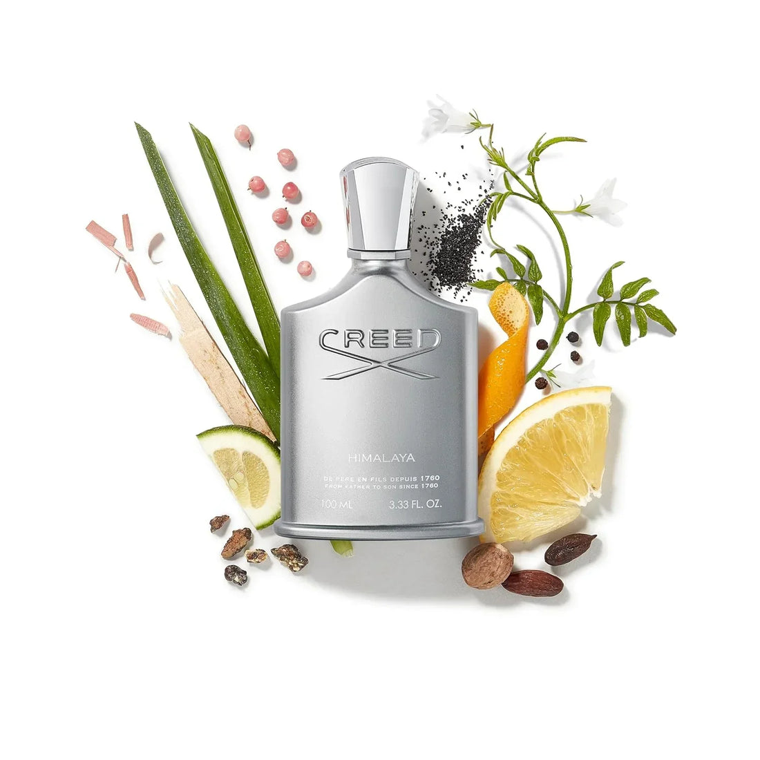 Creed Himalaya Eau de Parfum 100ml | For Men