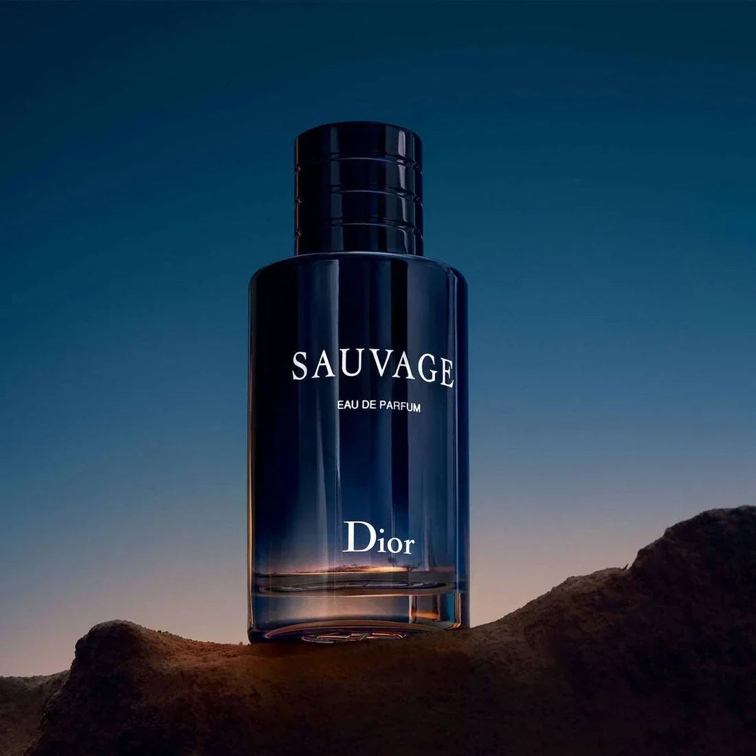 Dior Sauvage Eau de Parfum 100ml | For Men