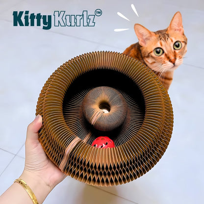 https://cdn.shopify.com/s/files/1/0592/0194/5677/files/KittyWheelzMarlenesPetShop2.jpg?v=1750919198
