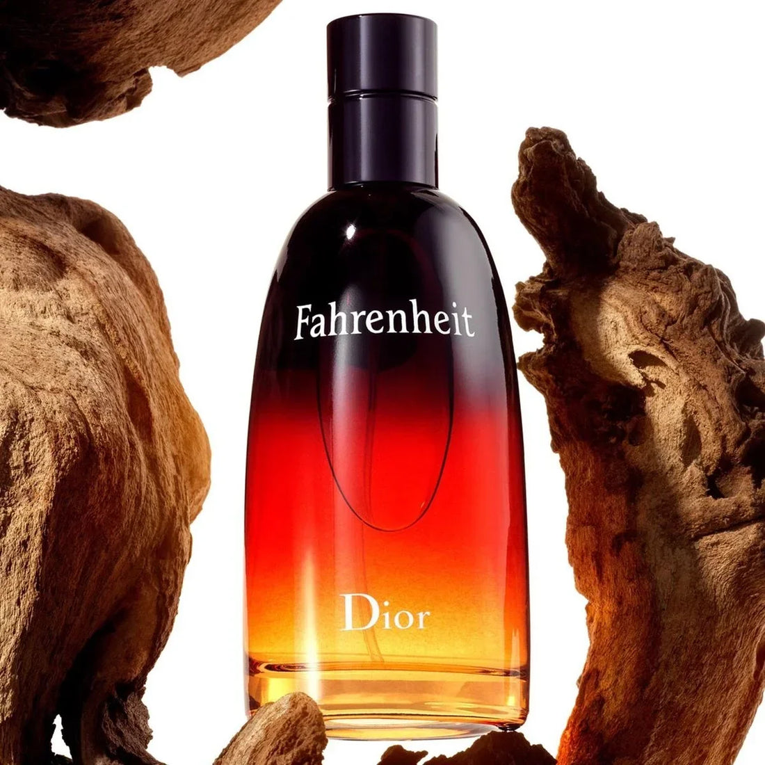 Dior Fahrenheit Eau de Toilette 100ml | For Men
